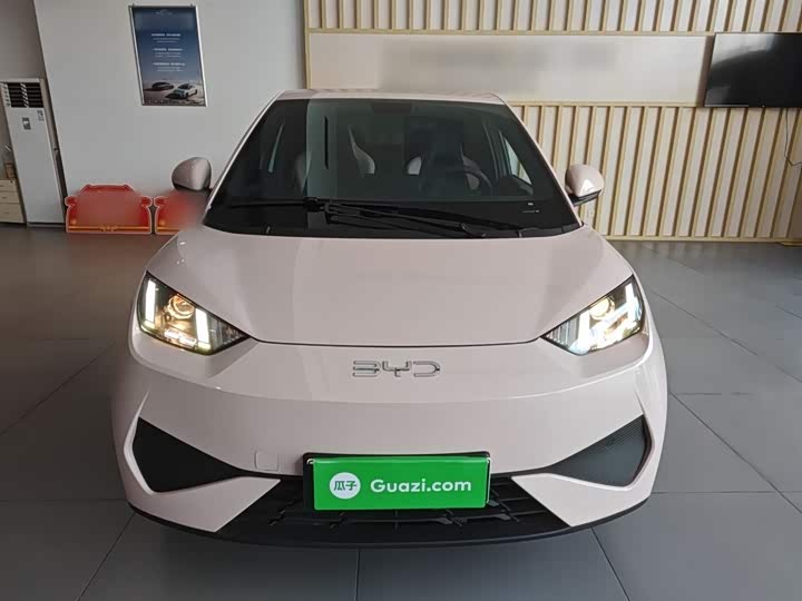 BYD Seagull 2025 2025款 智驾版 305km 活力版