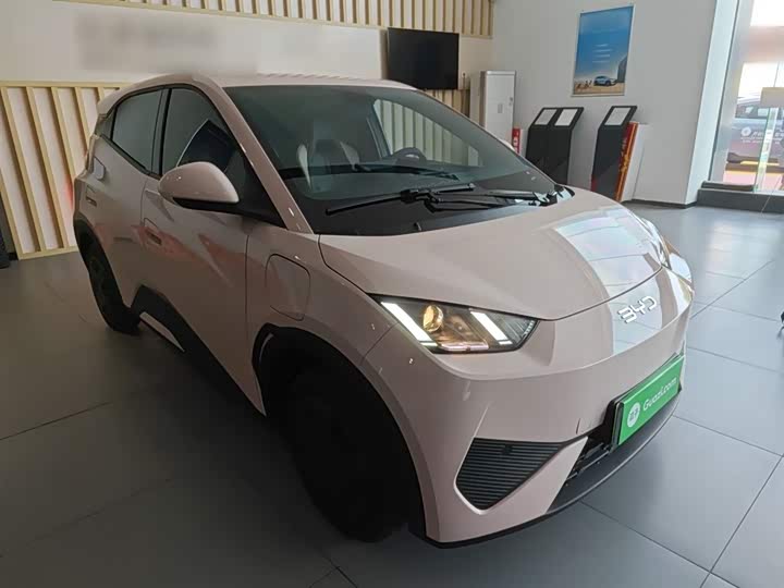 BYD Seagull 2025 2025款 智驾版 305km 活力版