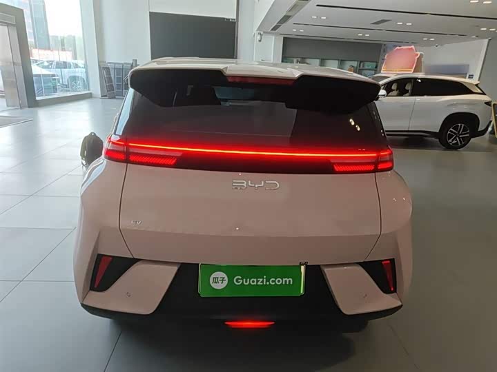 BYD Seagull 2025 2025款 智驾版 305km 活力版