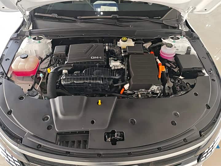 BYD Destroyer 05 2024 2024款 荣耀版 DM-i 55KM 豪华型