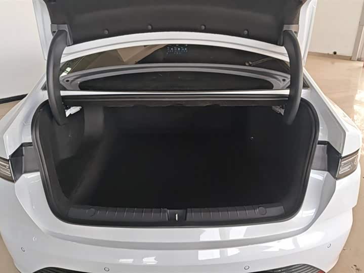 BYD Destroyer 05 2024 2024款 荣耀版 DM-i 55KM 豪华型