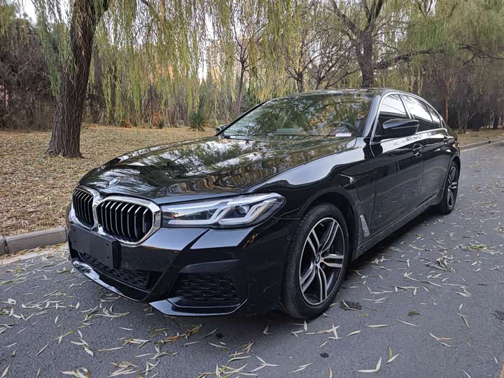 BMW 5 Series Hybrid 2022 2022款 535Le M运动套装