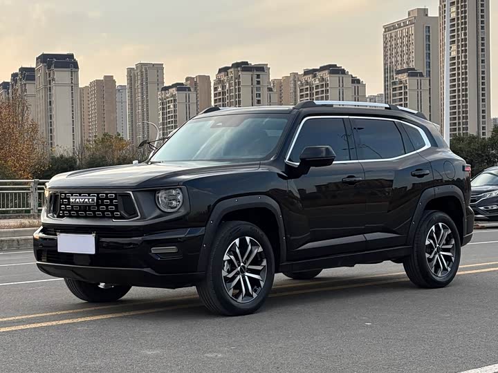 Haval H-Dog 2023 2023款 2.0T 四驱潮野Plus