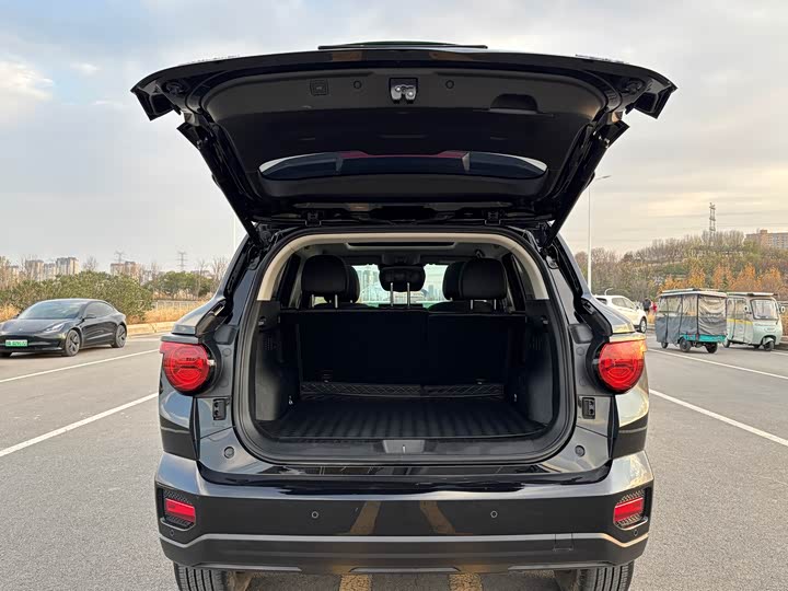 Haval H-Dog 2023 2023款 2.0T 四驱潮野Plus