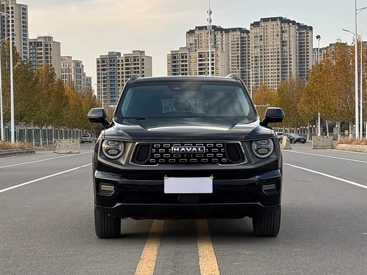 Haval H-Dog 2023 2023款 2.0T 四驱潮野Plus