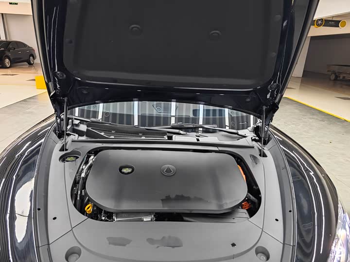 Denza Z9 2024 2024款 1100km 四驱Ultra版