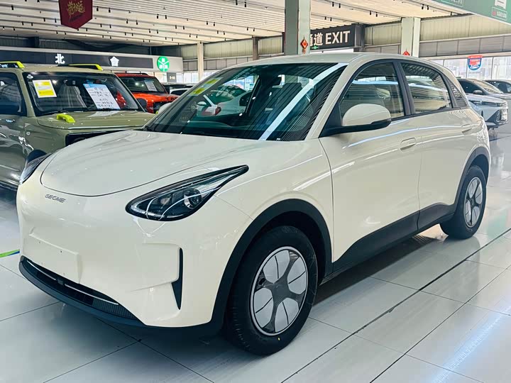 Geely Galaxy Geome 2026 2026款 310km 青春版