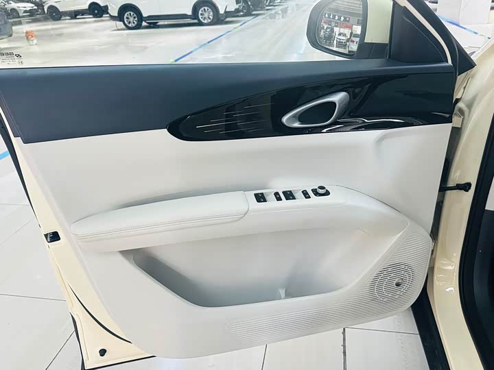 Geely Galaxy Geome 2026 2026款 310km 青春版