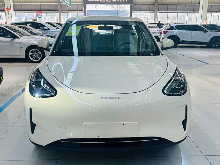 Geely Galaxy Geome 2026 2026款 310km 青春版