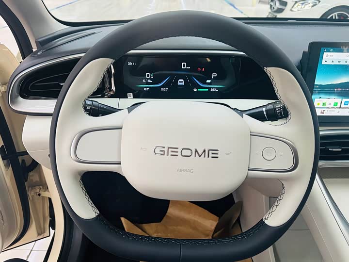 Geely Galaxy Geome 2026 2026款 310km 青春版