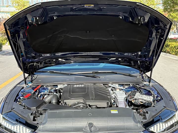 Audi A7L 2024 2024款 45TFSI S-line 筑梦型 流晶套装