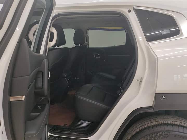 Haval H-Dog 2023 2023款 1.5T 两驱潮野版Plus