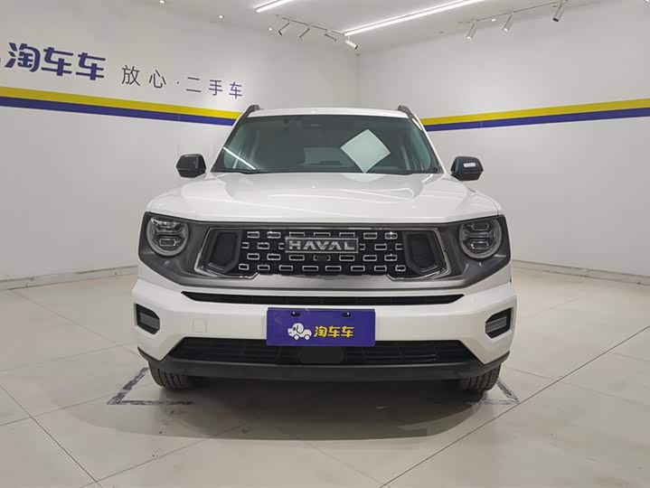 2023 Haval H-Dog