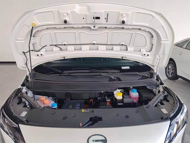 GAC Aion Y 2023 2023款 Plus 510 乐享版