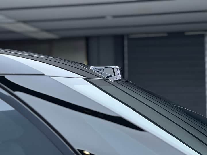 Zeekr 009 2024 2024款 七座过道版四驱 108kWh