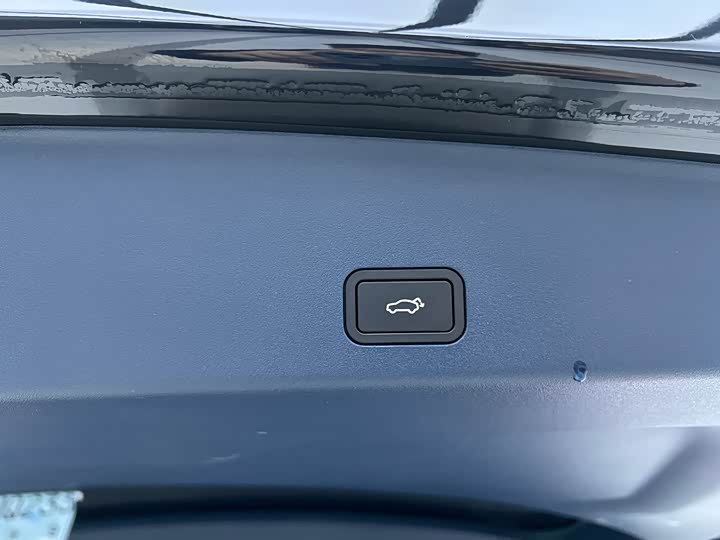 Zeekr 009 2024 2024款 七座过道版四驱 108kWh