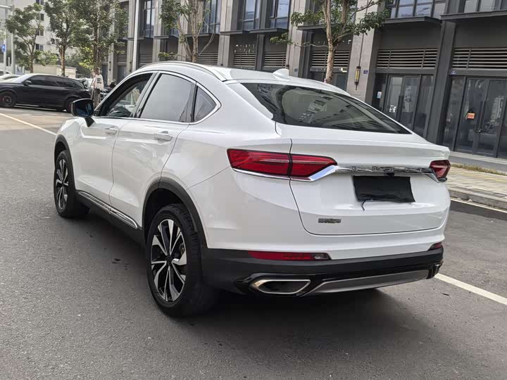 Geely Tugella S 2021 2021款 2.0TD DCT两驱雷霆版