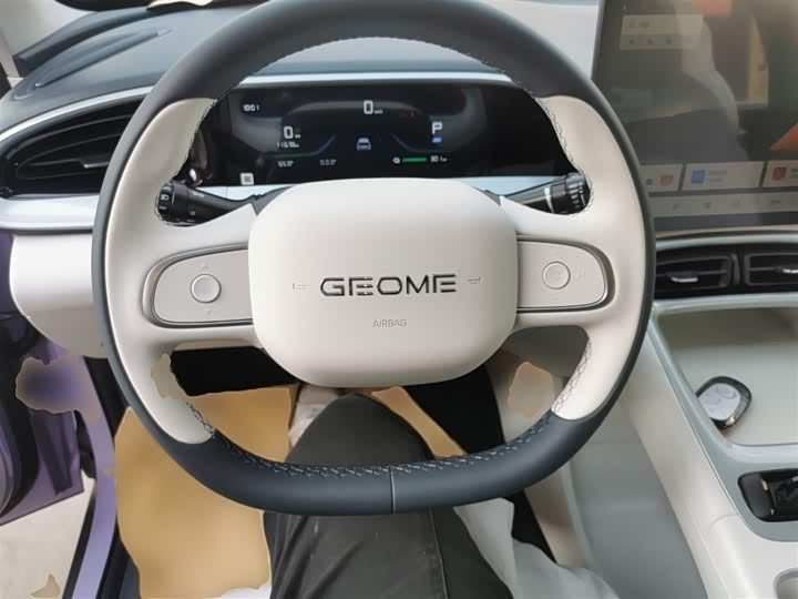 Geely Galaxy Geome 2026 2026款 310km 梦想版