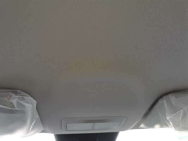 Geely Galaxy Geome 2026 2026款 310km 梦想版