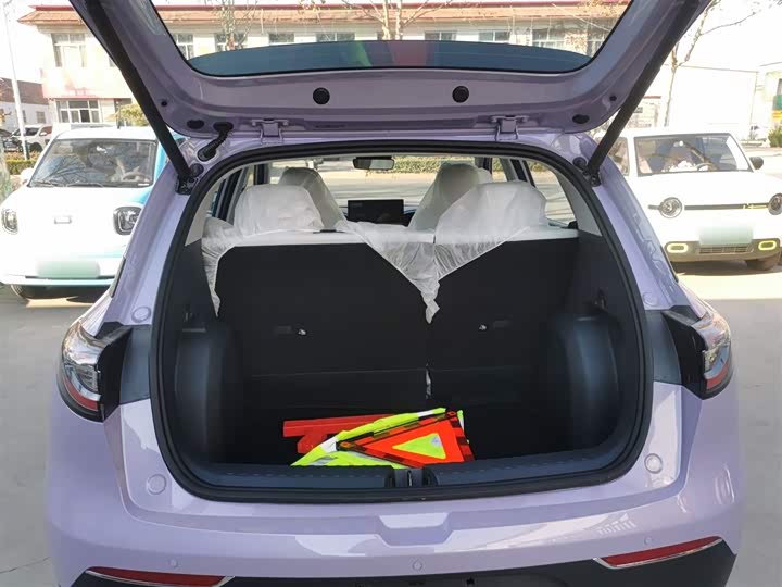 Geely Galaxy Geome 2026 2026款 310km 梦想版