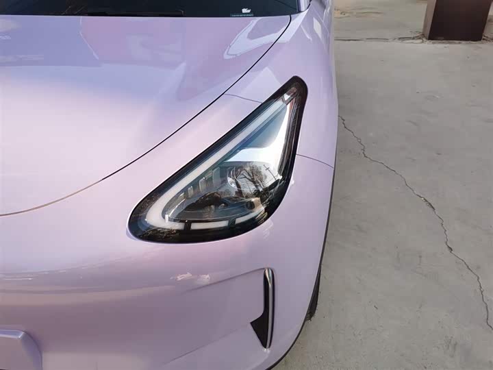 Geely Galaxy Geome 2026 2026款 310km 梦想版