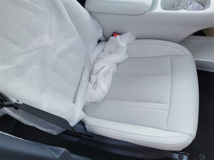 Geely Galaxy Geome 2026 2026款 310km 梦想版