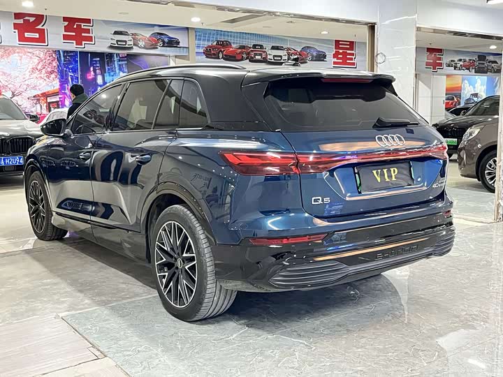 Audi Q5 e-tron 2023 2023款 40 e-tron 星耀型 锦衣套装