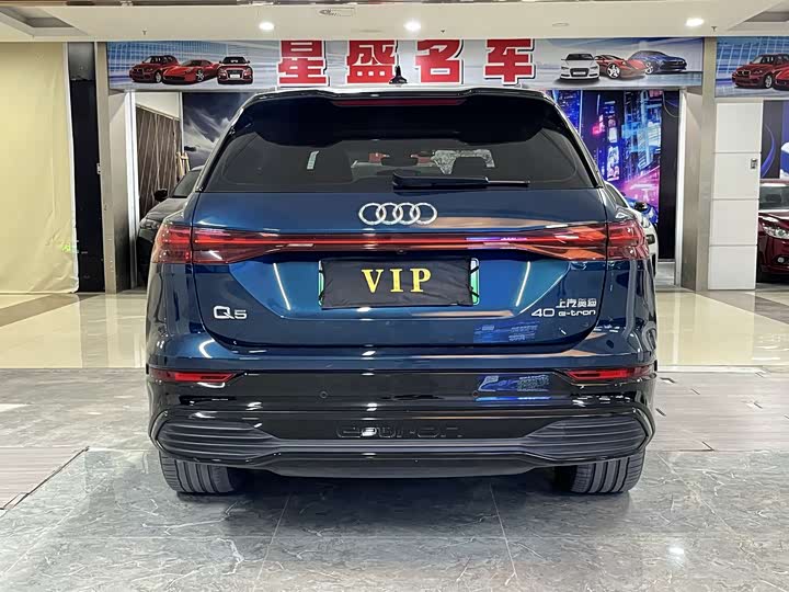 Audi Q5 e-tron 2023 2023款 40 e-tron 星耀型 锦衣套装