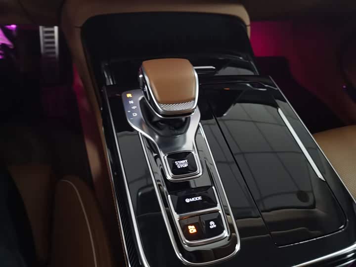 Hongqi H9 2024 2024款 2.0T 旗畅 私享风尚版