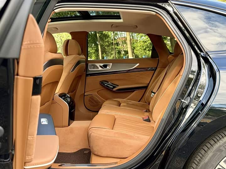 Hongqi H9 2024 2024款 2.0T 旗畅 私享风尚版