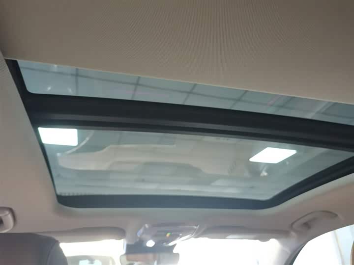 Hongqi H9 2024 2024款 2.0T 旗畅 私享风尚版