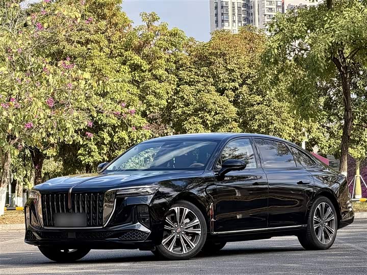 Hongqi H9 2024 2024款 2.0T 旗畅 私享风尚版