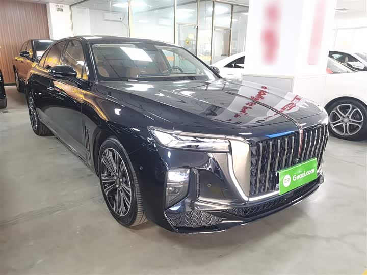 Hongqi H9 2024 2024款 2.0T 旗畅 私享风尚版