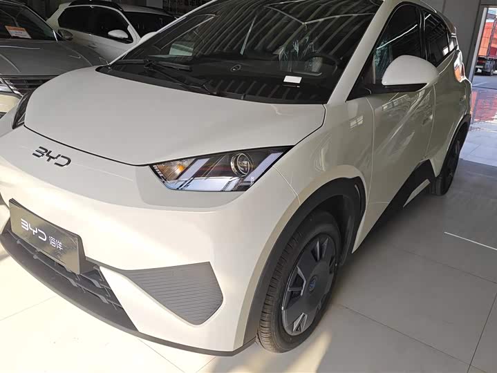 BYD Seagull 2025 2025款 智驾版 305km 活力版