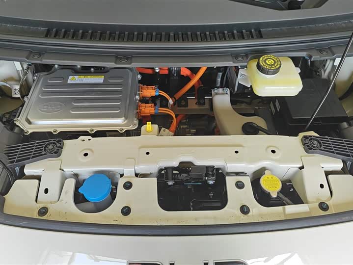 BYD Seagull 2025 2025款 智驾版 305km 活力版