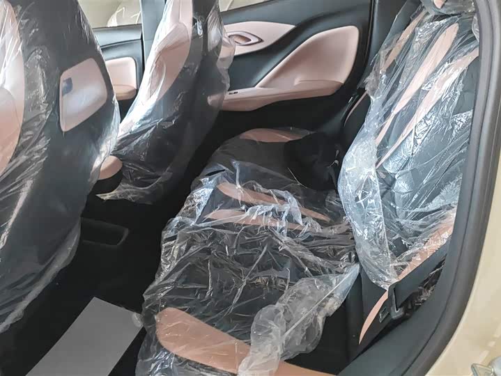 BYD Seagull 2025 2025款 智驾版 305km 活力版