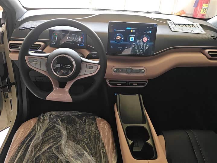 BYD Seagull 2025 2025款 智驾版 305km 活力版