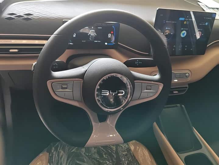 BYD Seagull 2025 2025款 智驾版 305km 活力版