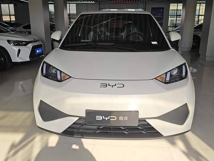 BYD Seagull 2025 2025款 智驾版 305km 活力版