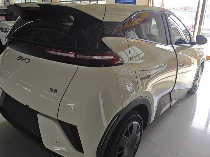 BYD Seagull 2025 2025款 智驾版 305km 活力版