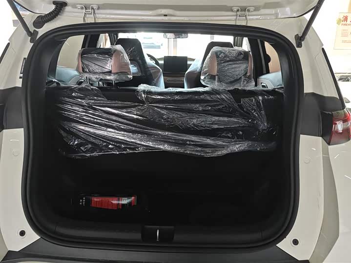 BYD Seagull 2025 2025款 智驾版 305km 活力版