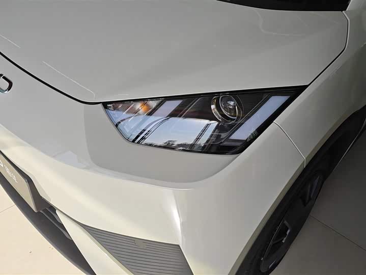 BYD Seagull 2025 2025款 智驾版 305km 活力版