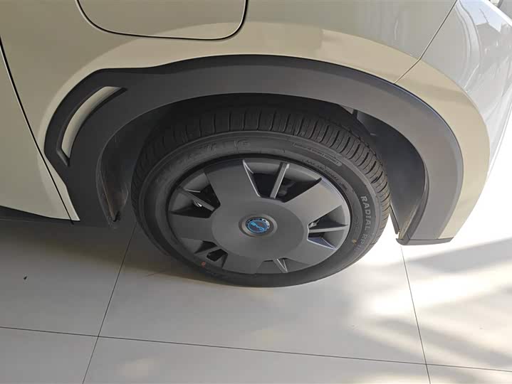 BYD Seagull 2025 2025款 智驾版 305km 活力版