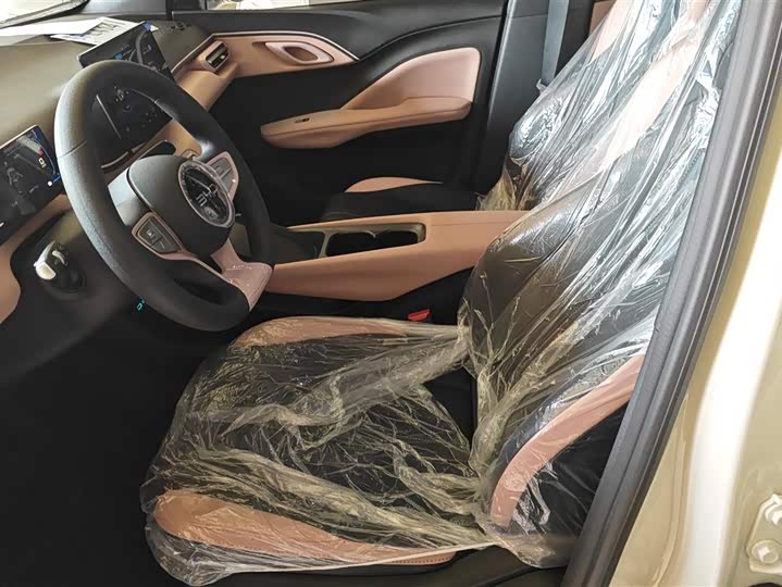 BYD Seagull 2025 2025款 智驾版 305km 活力版