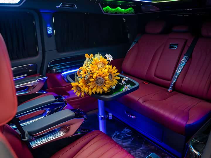 Mercedes-Benz Vito 2024 2024款 2.0T 商务版 7座