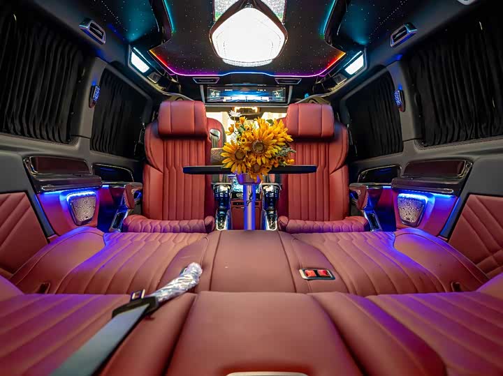 Mercedes-Benz Vito 2024 2024款 2.0T 商务版 7座