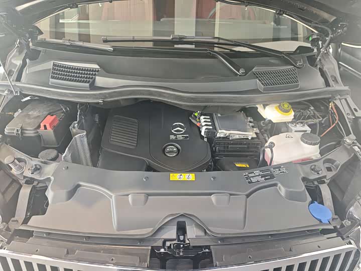 Mercedes-Benz Vito 2024 2024款 2.0T 商务版 7座