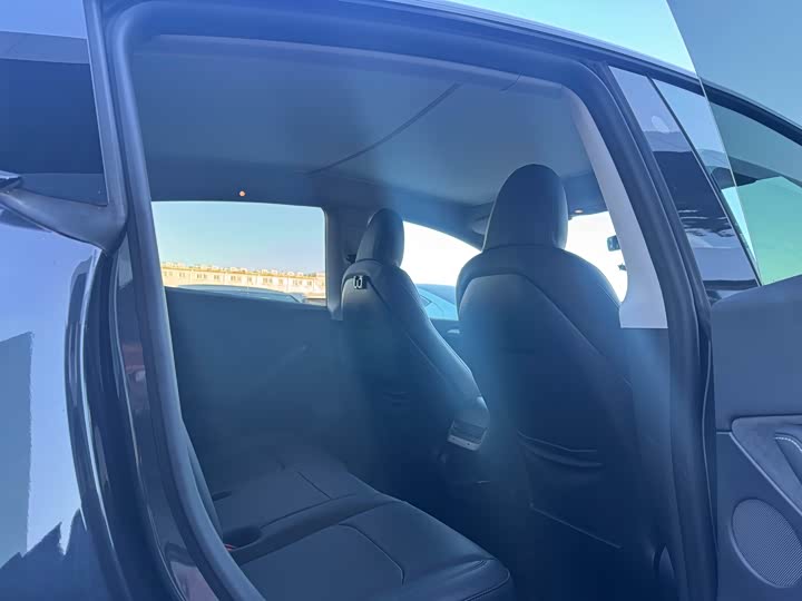 Tesla Model Y 2024 2024款 后轮驱动版