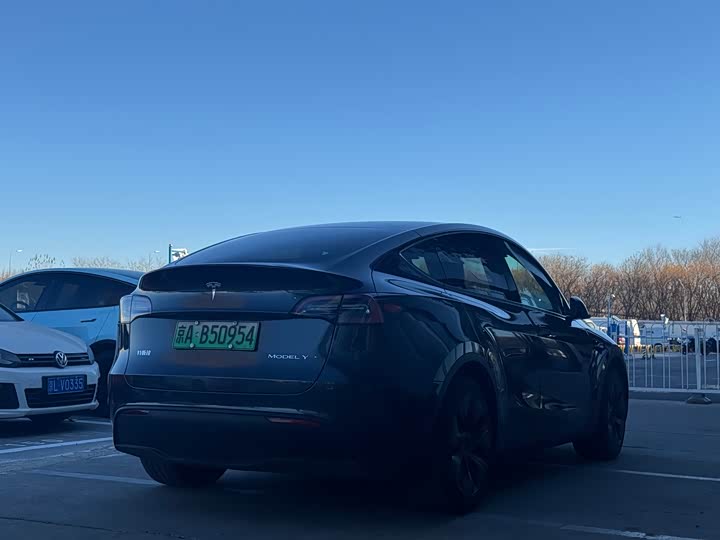 Tesla Model Y 2024 2024款 后轮驱动版
