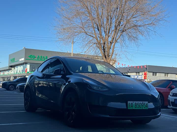 Tesla Model Y 2024 2024款 后轮驱动版